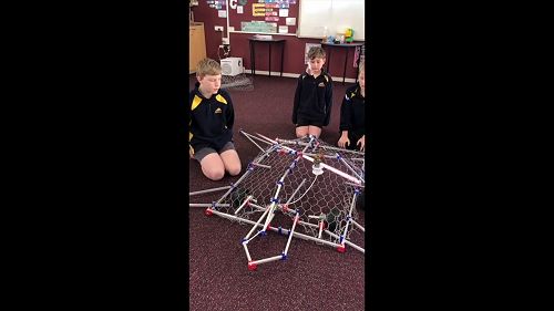 Video: Bluestone Stems - Meturtle