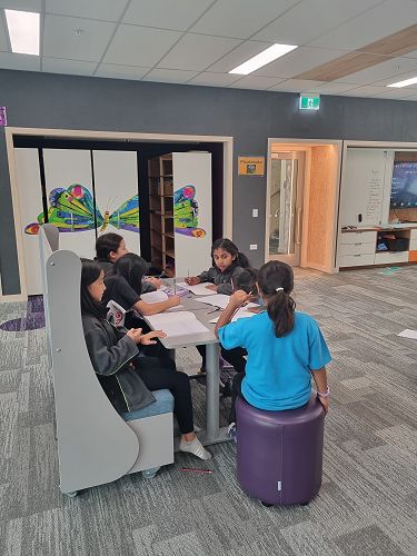 Whānau activities in Pōhutukawa