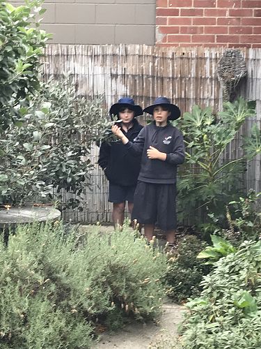 Toby and Skye gardening.