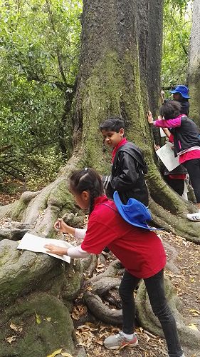 Riccarton House & Riccarton Bush - Team Harakeke - 2017