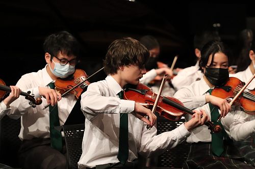 Junior Strings - Aurora Festival