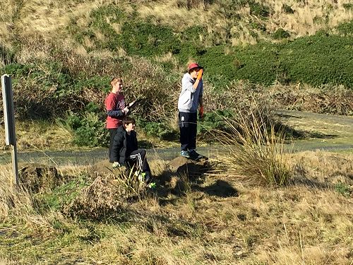 Planting for Penguins