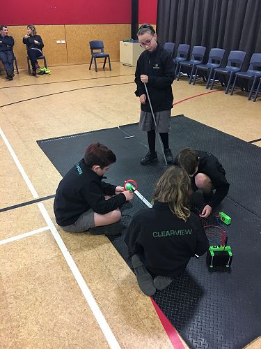 Just starting out - Clearview Tuis hard at work