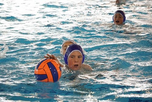 Max looking for the pass. 