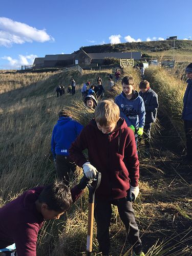 Planting for Penguins
