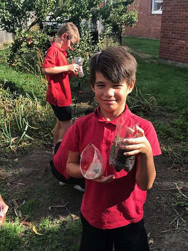 STEAM - Terrarium Making - Team Harakeke