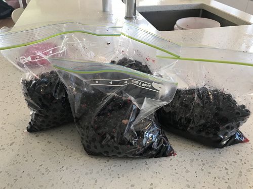 Two kilograms of black currants picked from our school garden and ready for jam making!