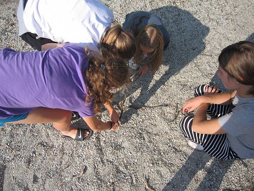 Year 11 Geography Trip 2019