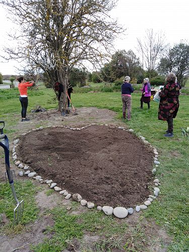 The Unity Garden Wildflower bed.