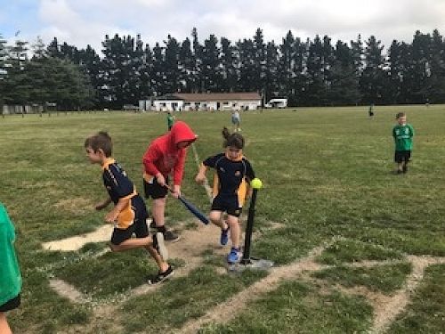 Softball/Teeball 2018