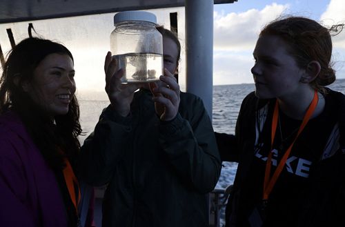 Learning about plankton found in the Hauraki Gulf