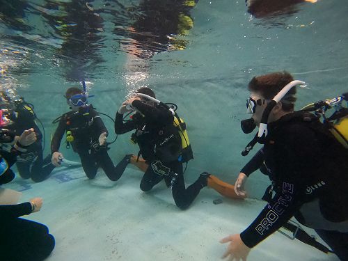 PADI open water diving course