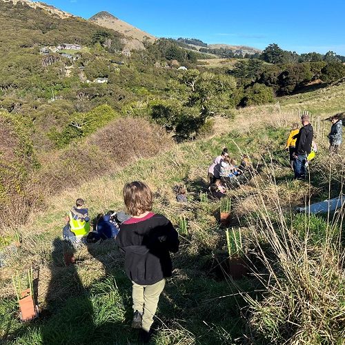 Biodiversity Fund project - Seaton's Bush Reserve
