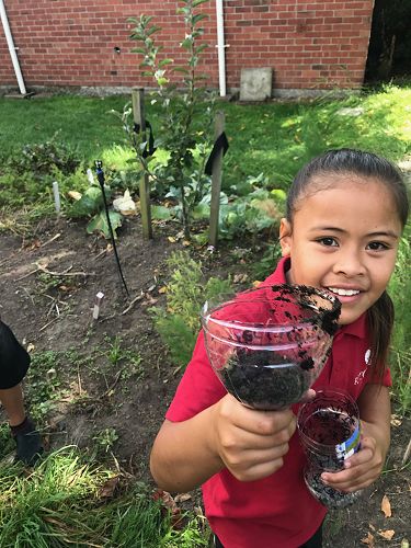 STEAM - Terrarium Making - Team Harakeke