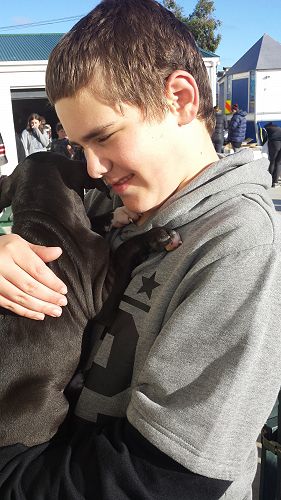 Tyler from Room 2 visited the Christchurch Bull Breed Rescue which saves Bullbreeds like bulldogs, pitbulls and Staffordshire bull terriers.