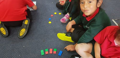 DMIC - Problem solving buddy maths