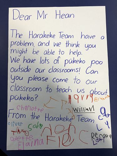 Harakeke Technology Problem