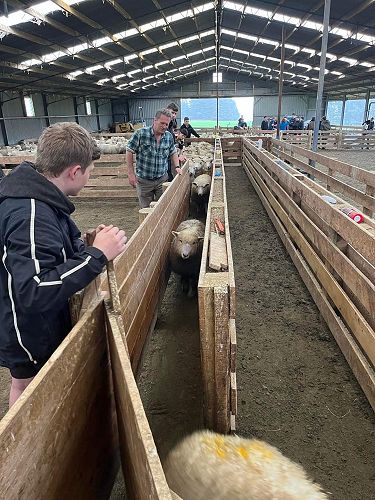 PITO Farming Taster Day