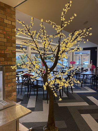 Valentines Day Themed Dinner 2023