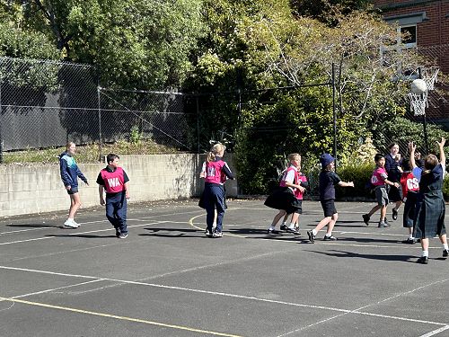 Netball training