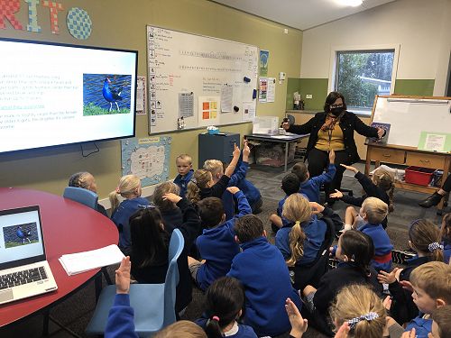 Harakeke Technology Problem