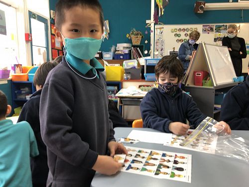 Samuel and Anthony are playing 'Guess Who' or ¿Advina Quien Es?