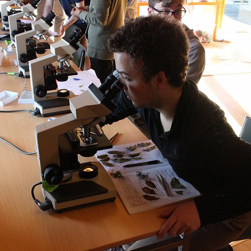 Year 13 Biology - Orokonui Ecosanctuary