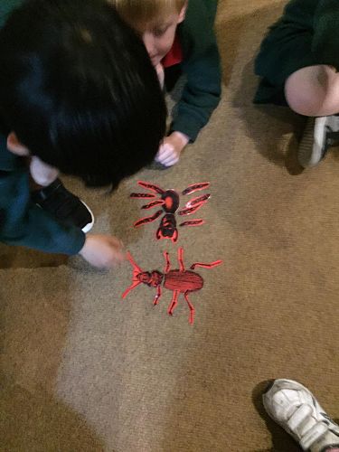 More photos of our trip to the museum and gardens.