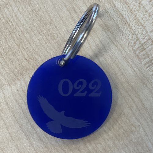 Year 13 Leavers Pass