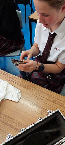 Agricultural and Horticultural Science