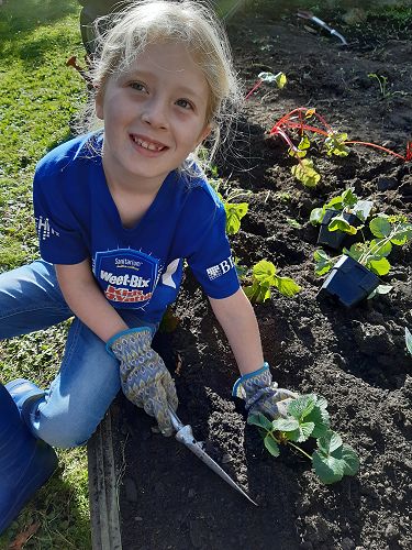 Cate Seaton (Year 3) working on her passion project of learning about gardening and different ways of growing things.
