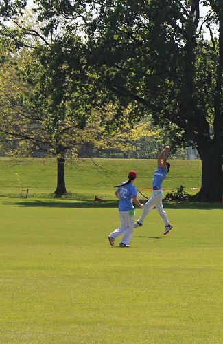 VMC Cricket Catch