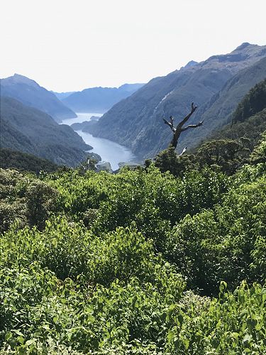 View from Wilmott Pass