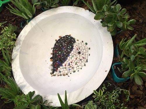 The pond in the exhibit, surrounded by succulents and Aloe Vera.