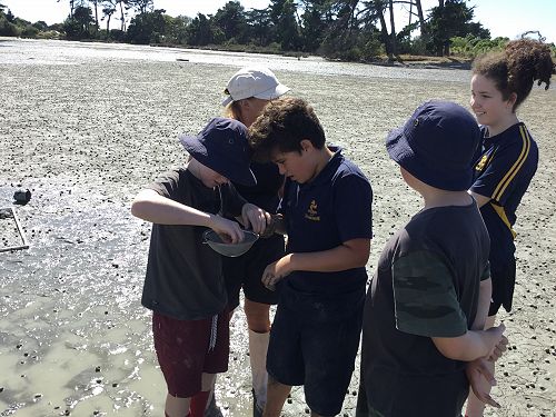 Brooklyn and Olliver discover what they have found in one of their core samples.