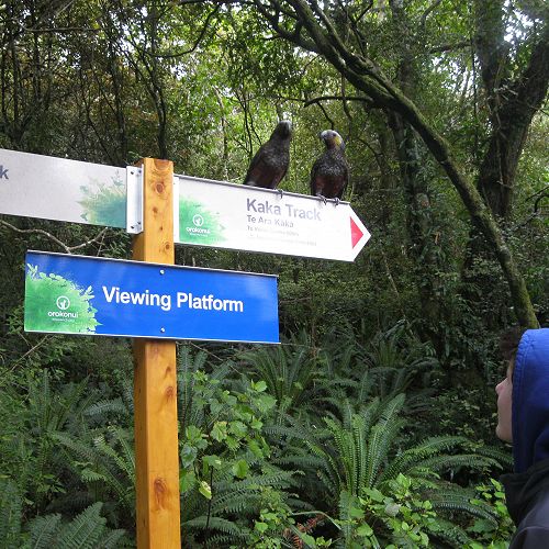 International summer school visit to Orokonui