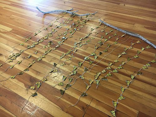 Oderings School Gardens Show 2018