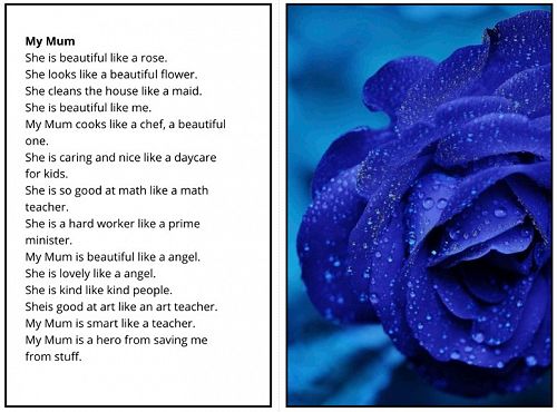 Room 3's Special Person Poems