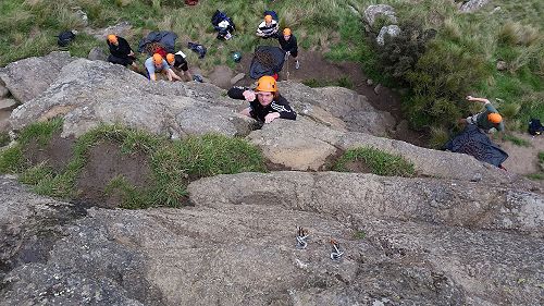 Merlins Wall - Jesse