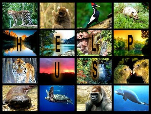 Photo Collage using PiZap