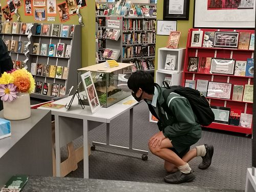 "I wish they were real."