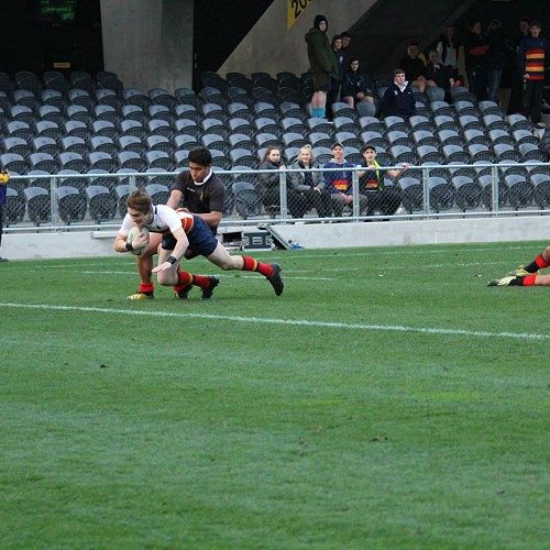 Southern Wide Real Estate Final