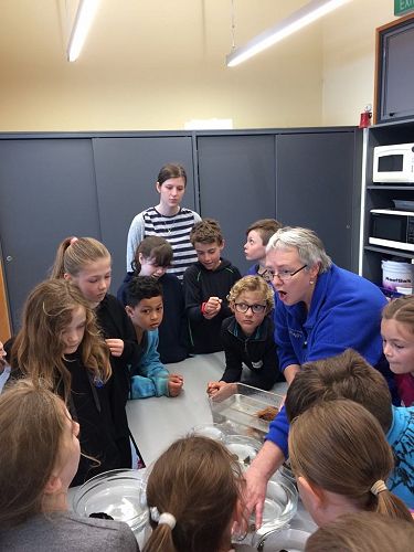 Discussion on how to classify 