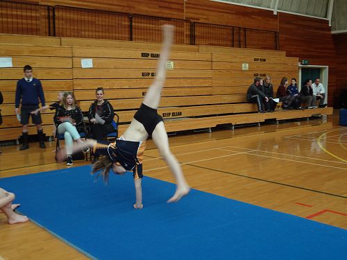 Gymnastics Festival 2016