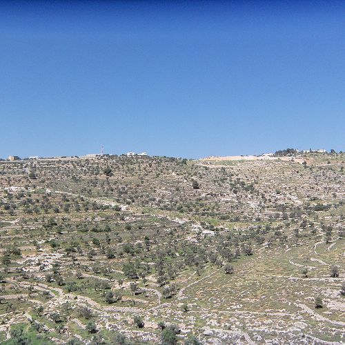 Israel landscape