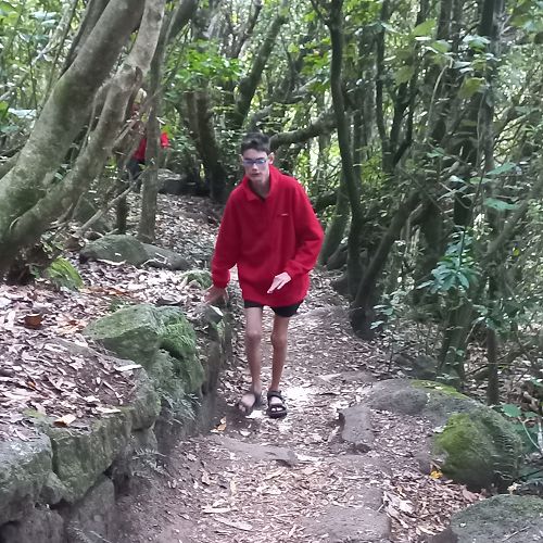 Lachlan loves to get out and about. He is very sure footed now and not at all concerned about uneven surfaces which is great.