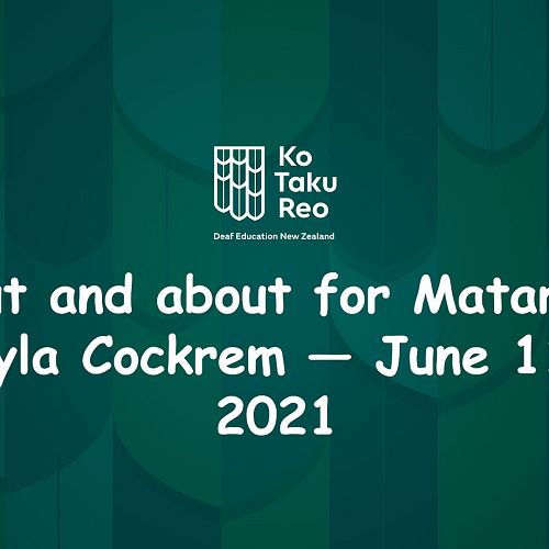 Video: Out and about for Matariki