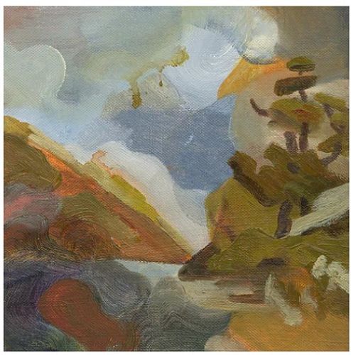 Willows Cook - Lake Howden