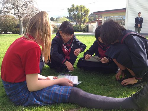 Learning the New Zealand way.