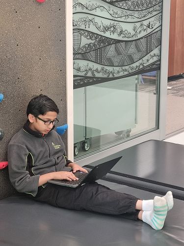 Quiet research time in Pōhutukawa